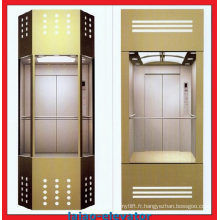 Safety Glass Semi-Circle Sightseeing Elevator Observation Lift